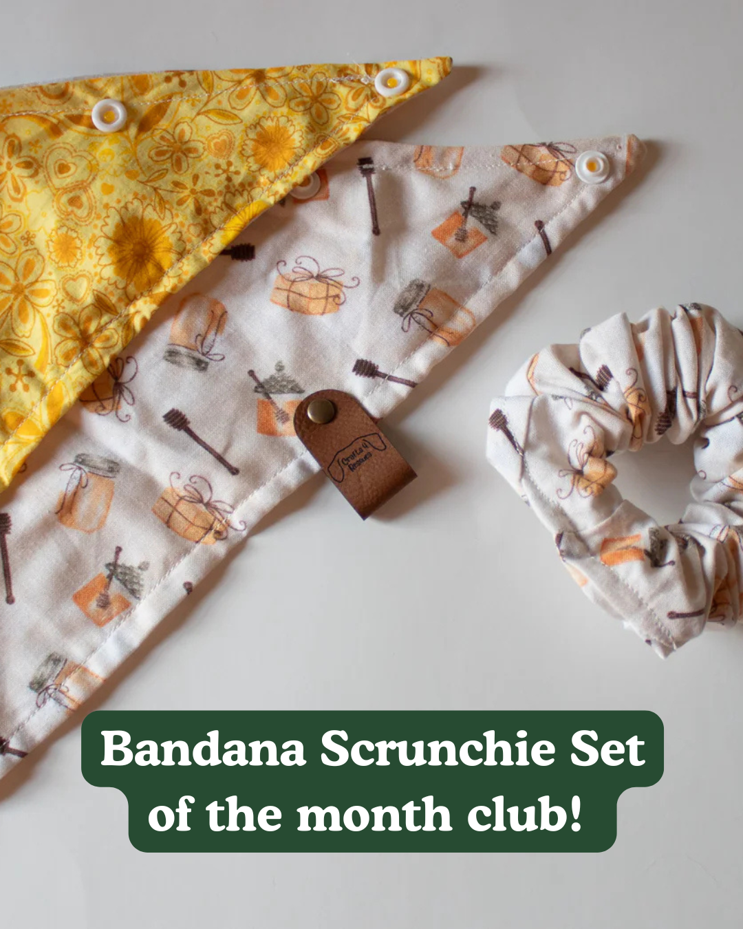 Bandana Scrunchie Set of the month club