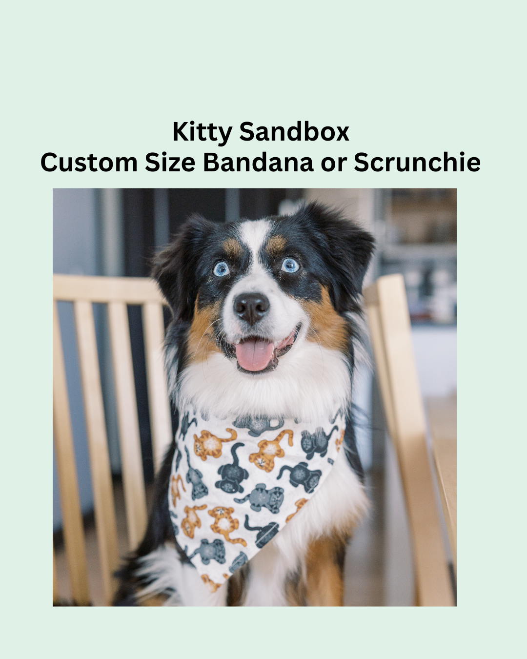 Kitty Sandbox Bandana Or Scrunchie - Custom Size
