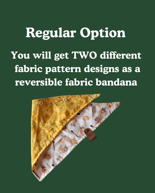 Bandana Of The Month Club