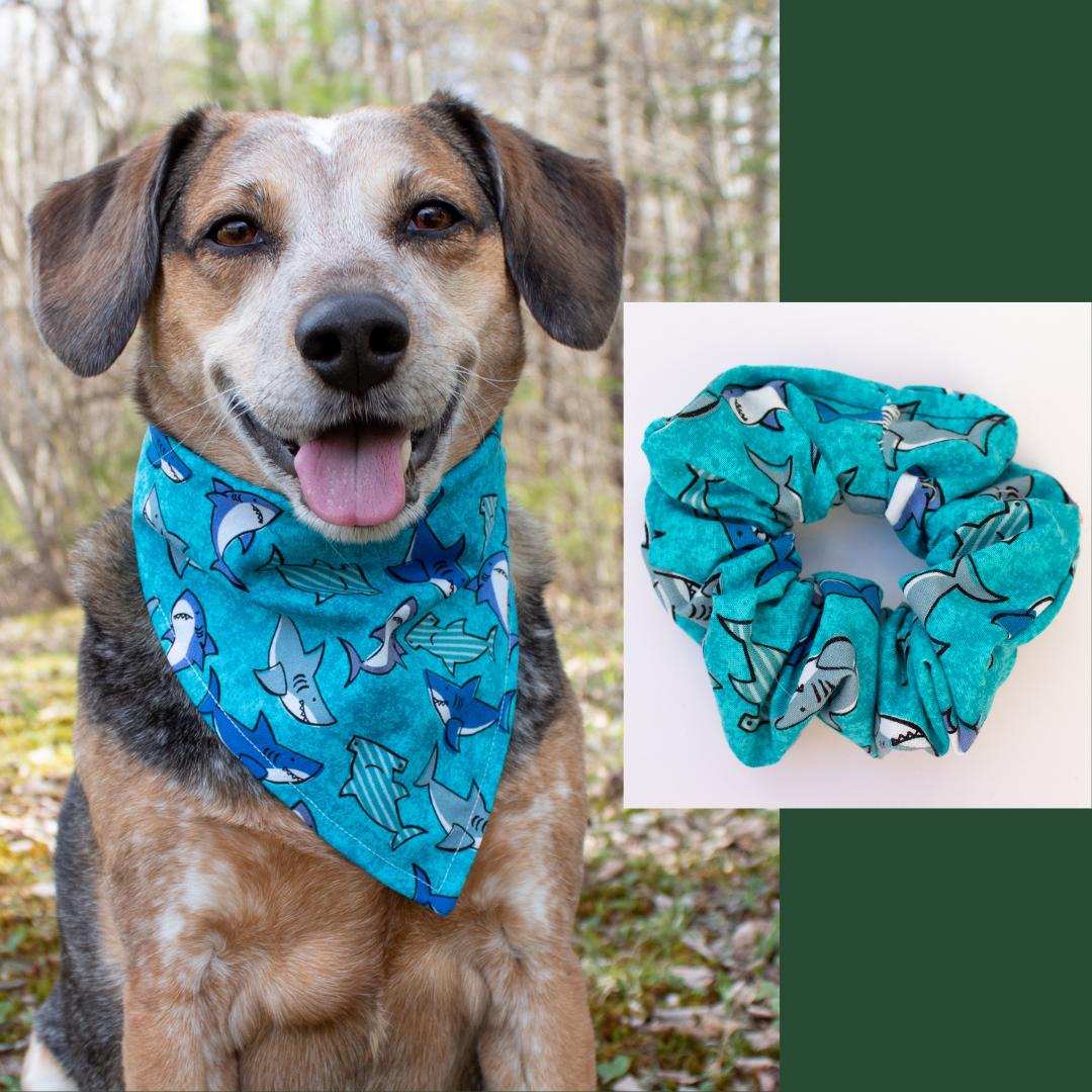 Ocean of Sharks Bandana Scrunchie Set