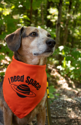 Orange I Need Space CK9 Collaboration Bandana