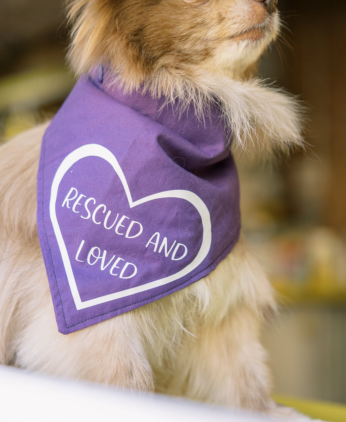 Rescued and Loved Bandana - Customizable
