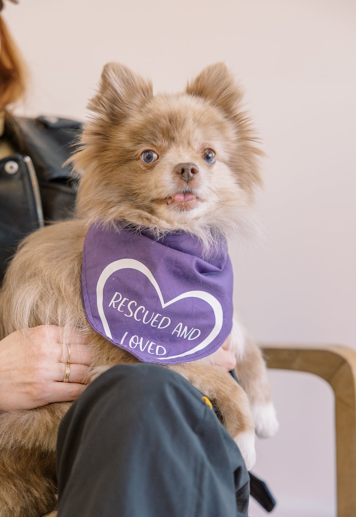 Rescued and Loved Bandana - Customizable