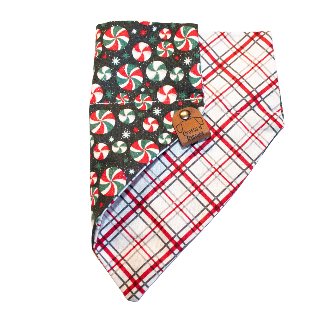 Peppermint Candy Bandana