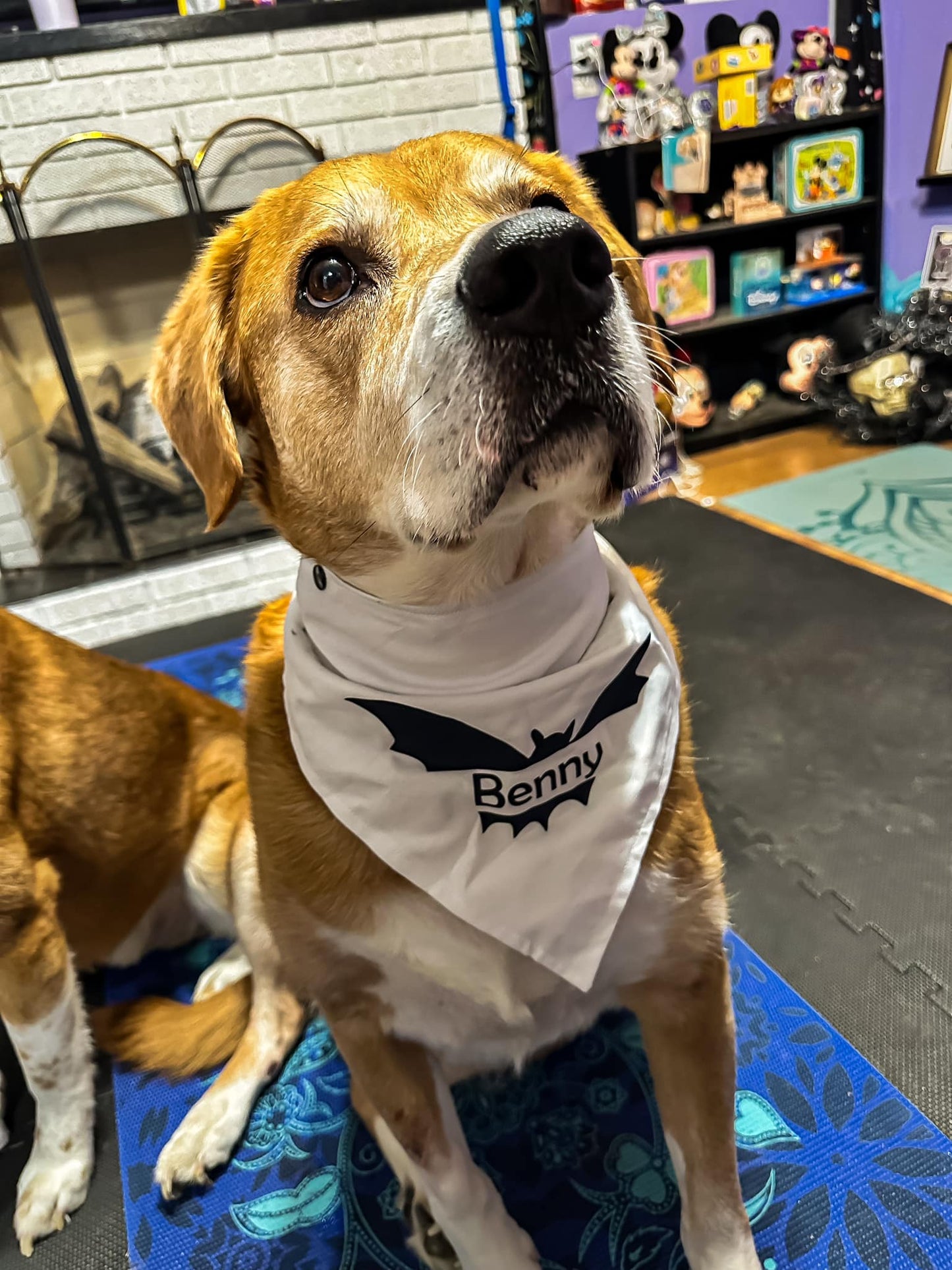 Bat Name Bandana - Customizable