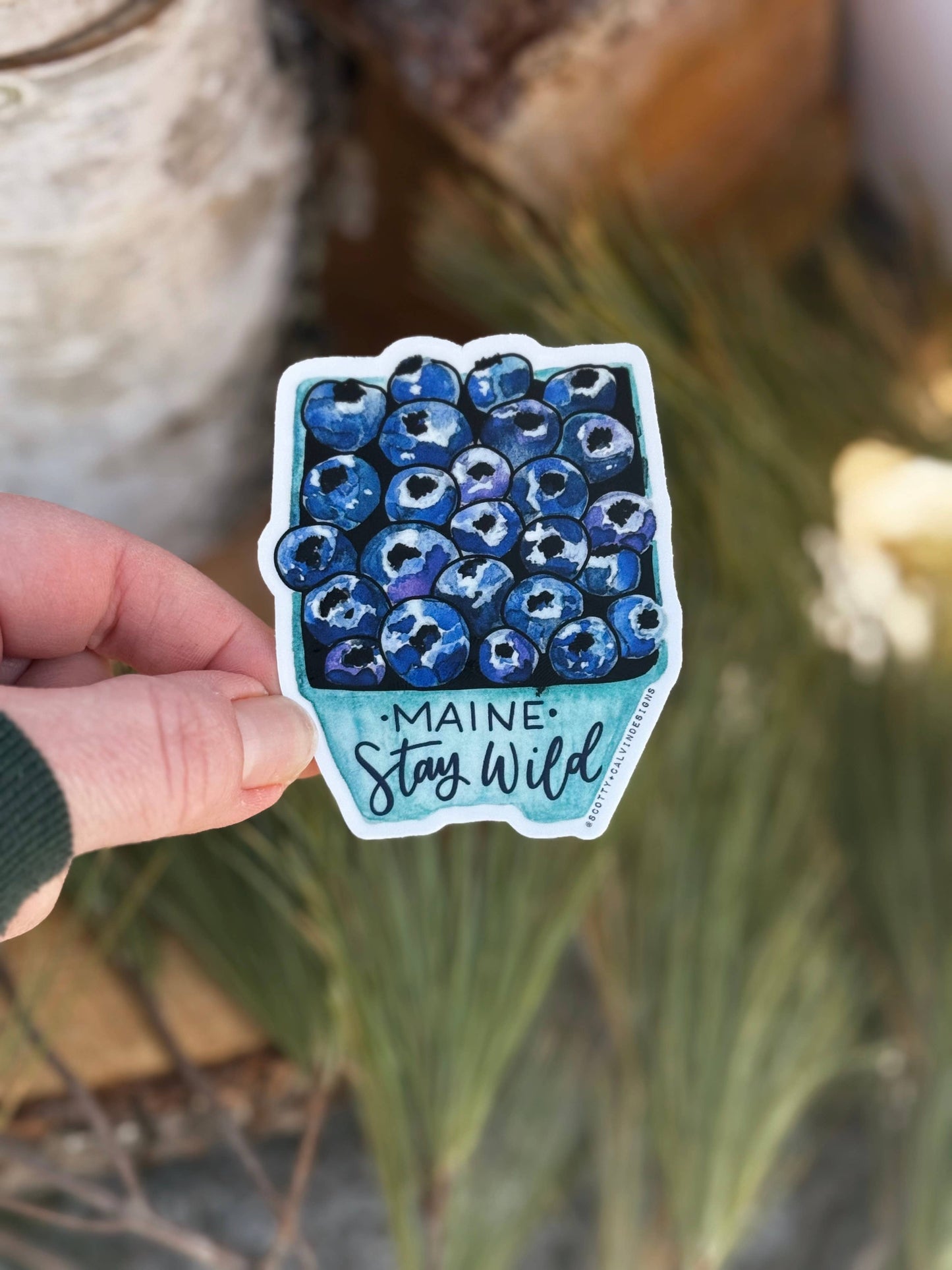 Maine Wild Blueberries Stay Wild Weatherproof StickerĀ
