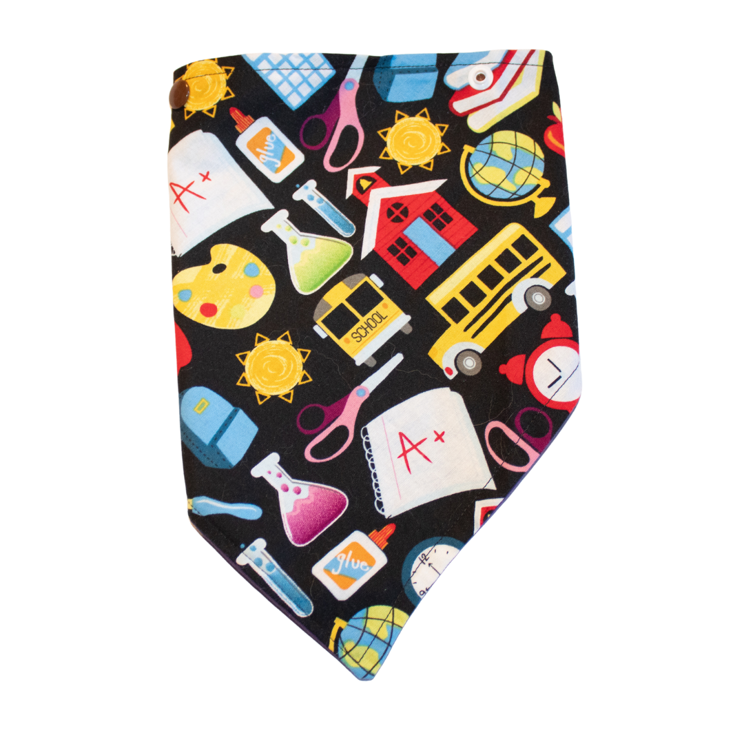 Back To School Bandana