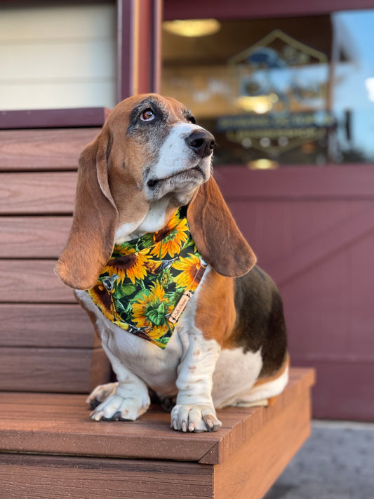 Green Sunflower Reversible Bandana