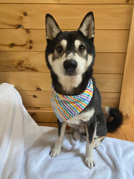 Pawsome Party Bandana or Bandana Scrunchie Set