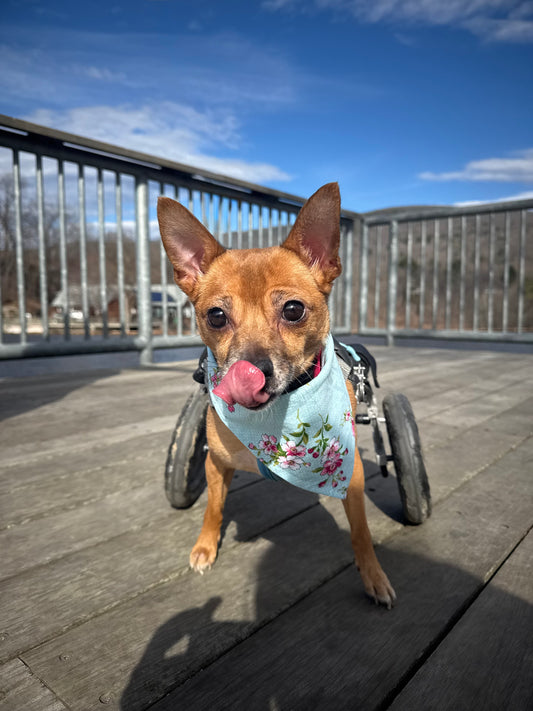 Light Blue Floral Bandana or Bandana Scrunchie Set