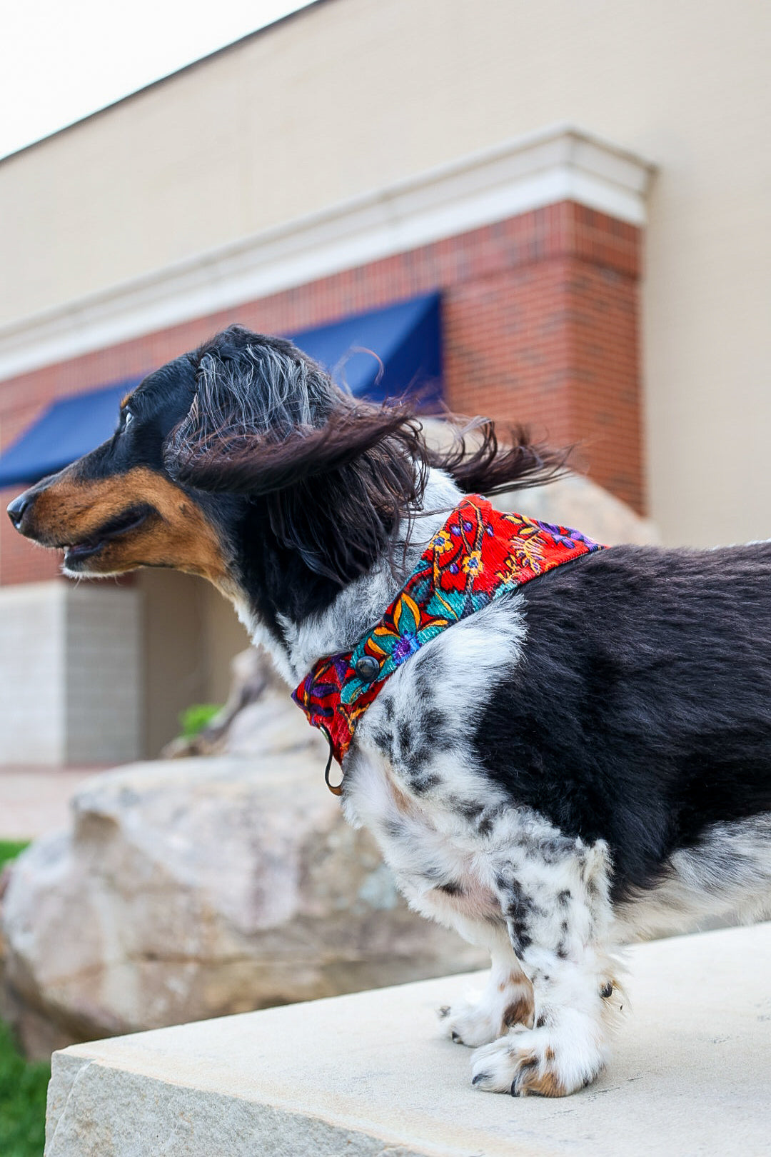 Ruby Floral Bandana