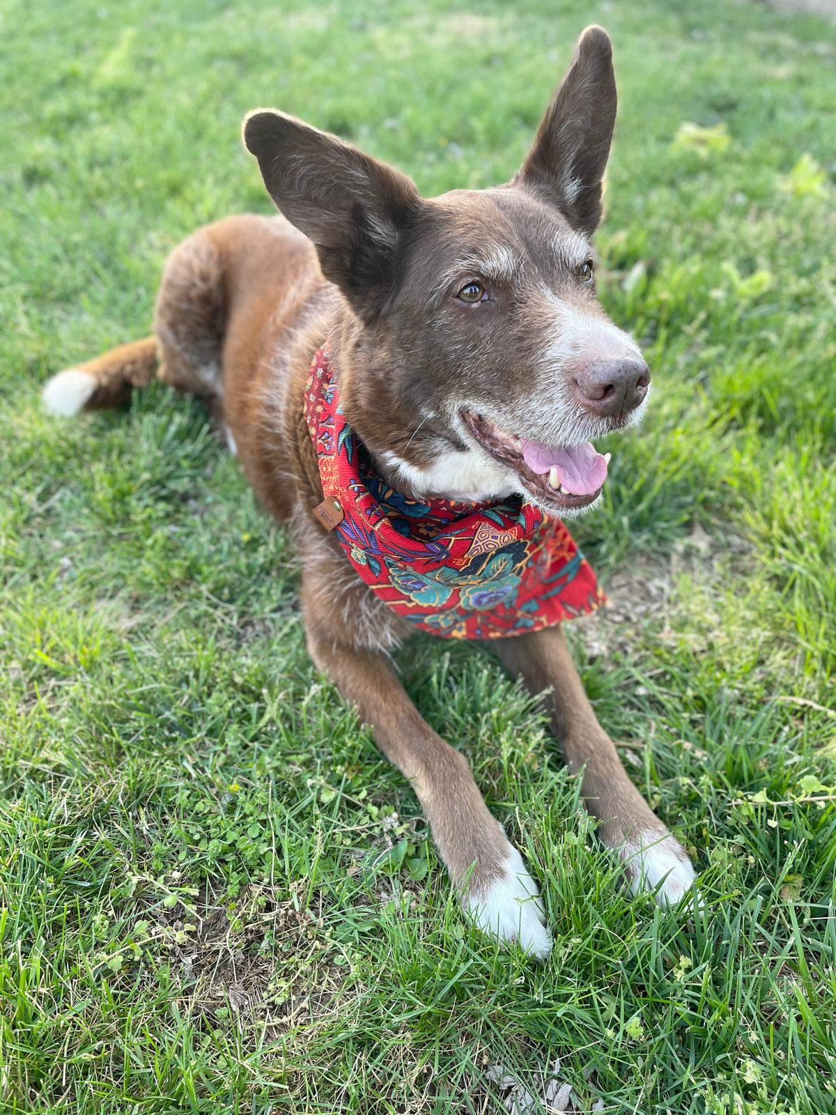 Ruby Floral Bandana