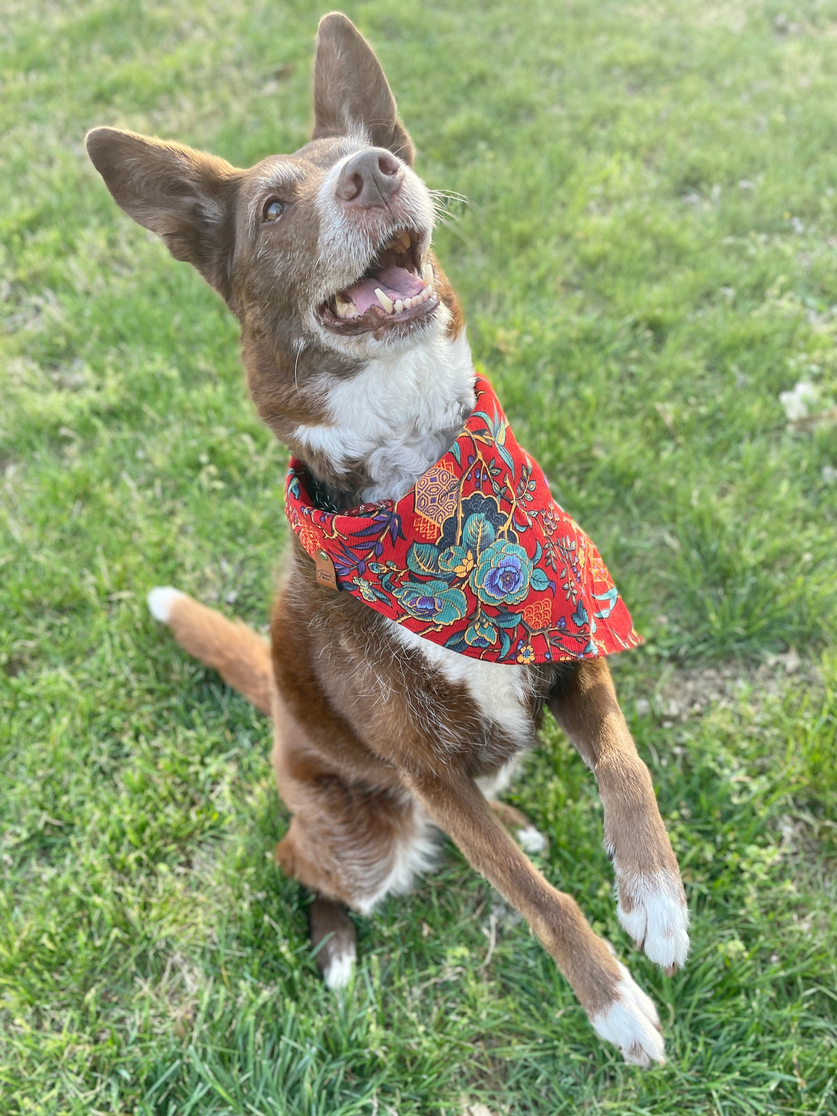 Ruby Floral Bandana
