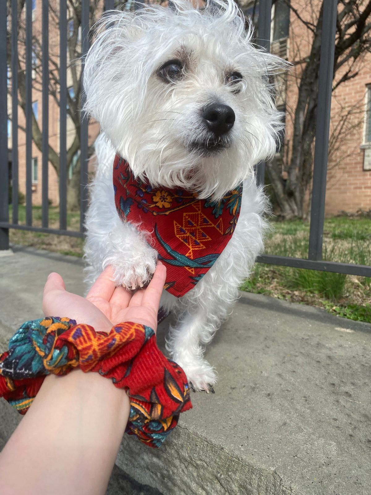 Ruby Floral Bandana