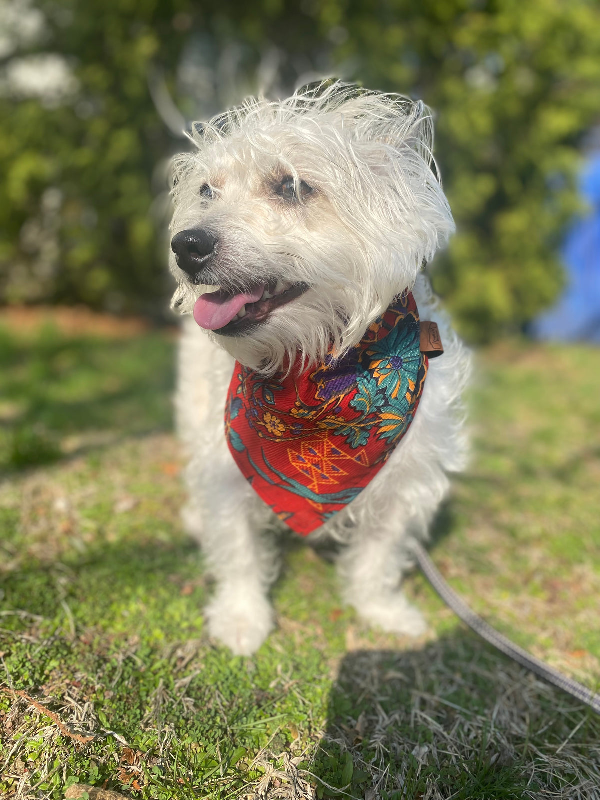 Ruby Floral Bandana