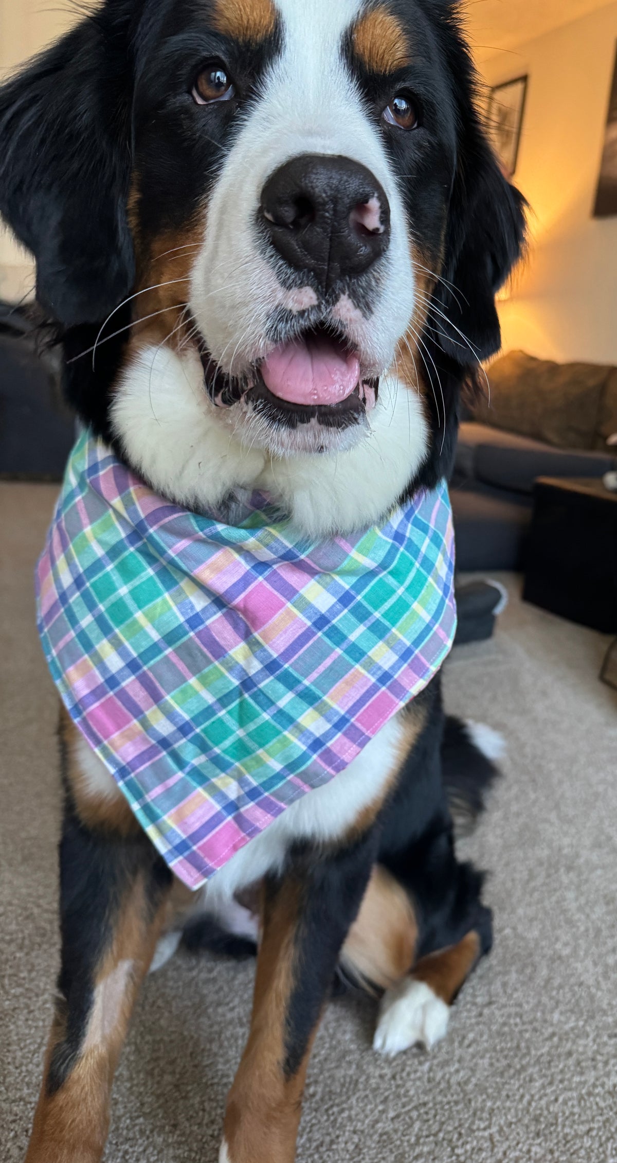 Pastel Plaid Bandana
