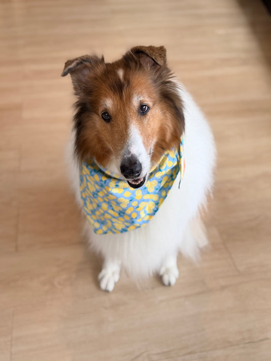 Lemon Bandana or Bandana Scrunchie Set
