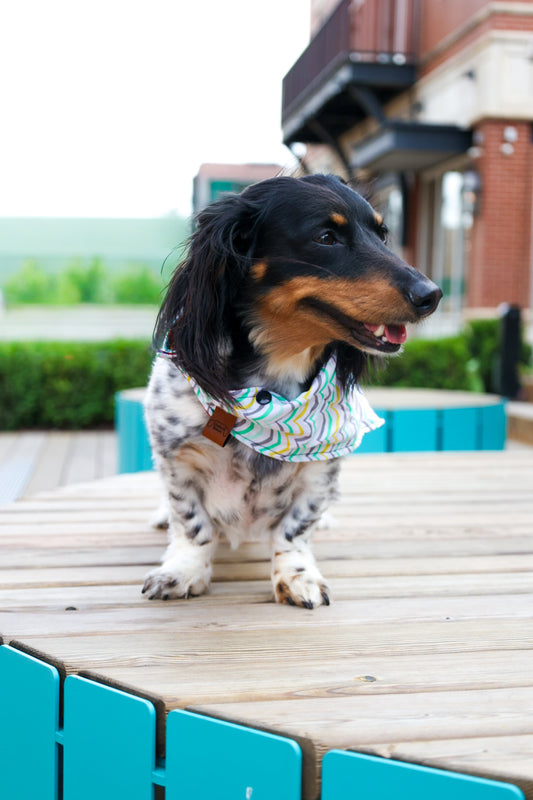 Beach Waves Bandana or Bandana Scrunchie Set