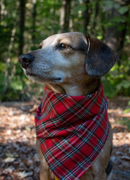 Red Plaid Bandana or Bandana Scrunchie Set