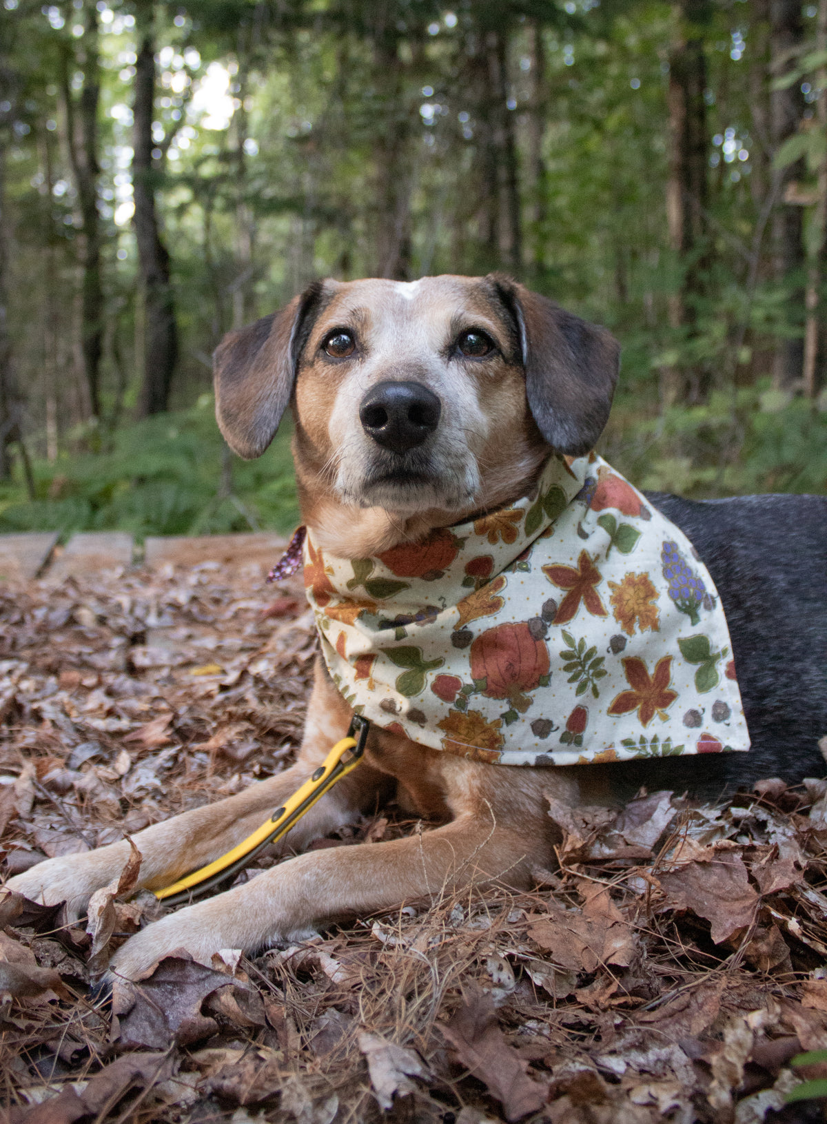 Glittering Floral Bandana