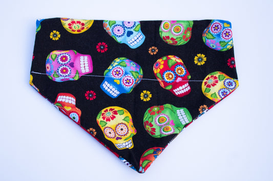 Skulls Bandana