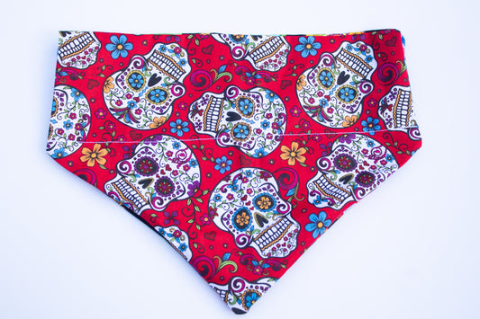 Skulls Bandana