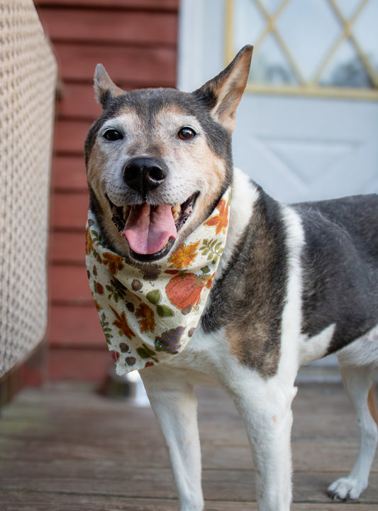 Glittering Floral Bandana