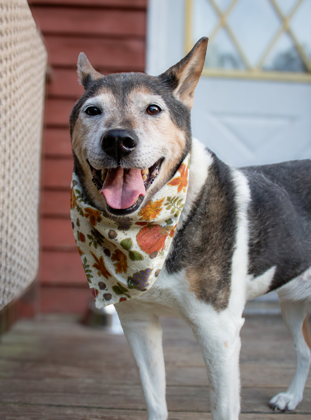 Glittering Floral Bandana