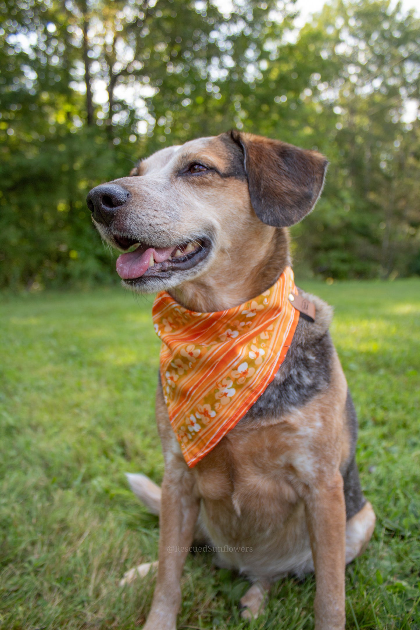 Orange Floral Bandana