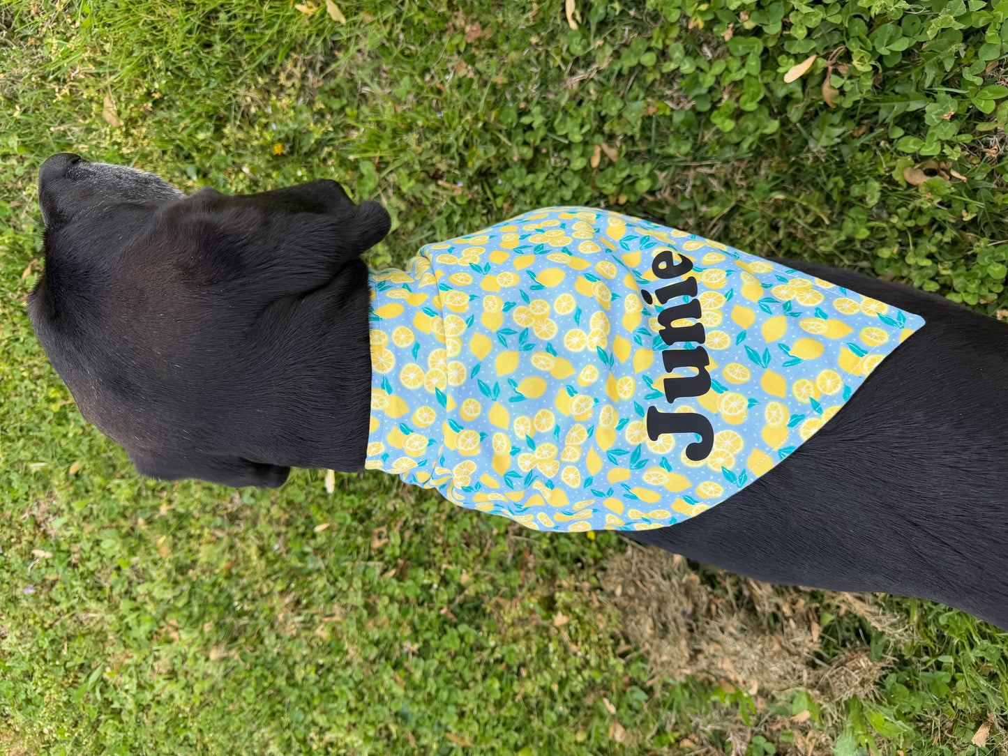 Bandana Name Add On