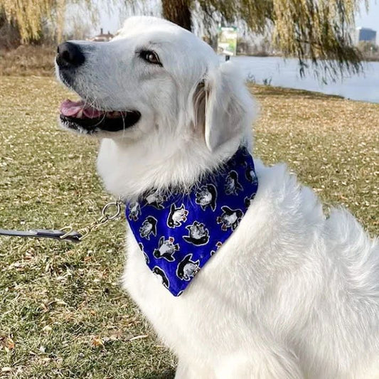 Penguin Bandana