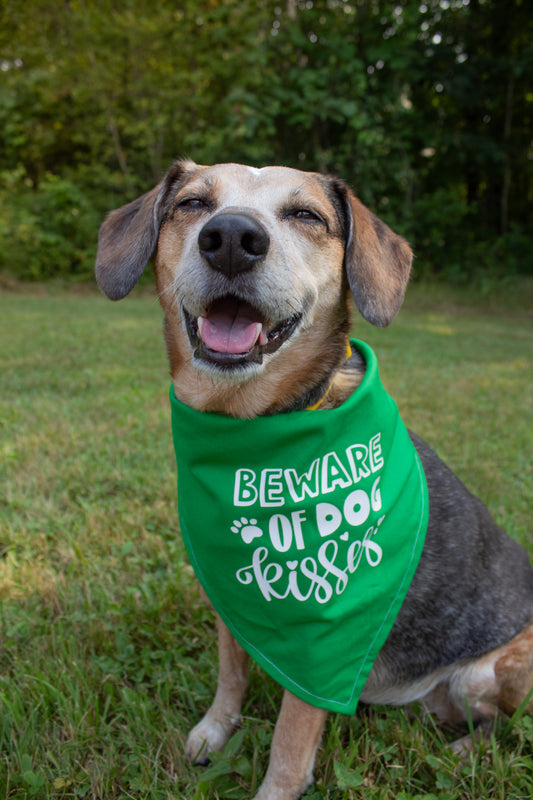 Beware of Dog Kisses Dog Bandana - Customizable
