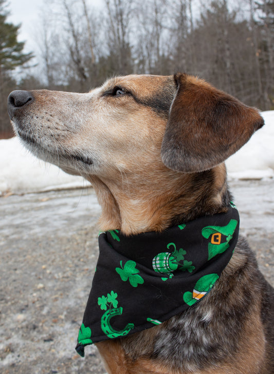 Blue Plaid Reversible Saint Patrick's Day Dog Bandana