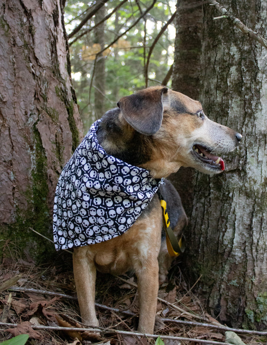 Purple Plaid Skulls Bandana