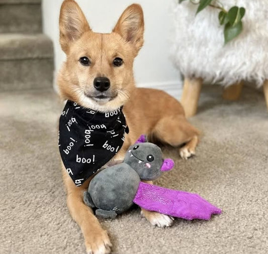 Boo Bandana Scrunchie Set