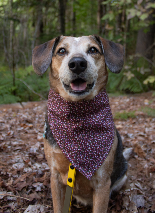Glittering Floral Bandana