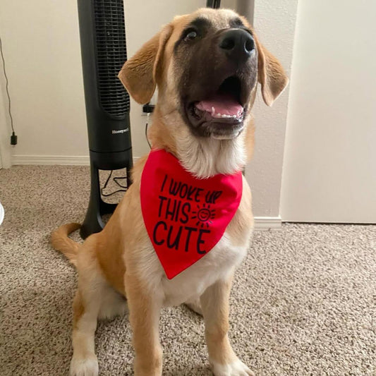 I woke up this cute bandana - Customizable