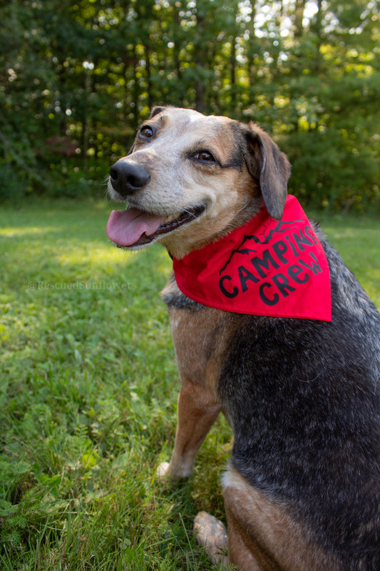 Camping Crew Bandana - Customizable