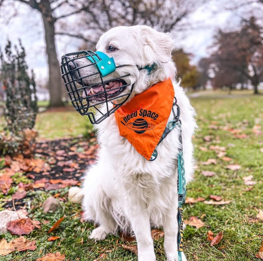 Orange I Need Space CK9 Collaboration Bandana