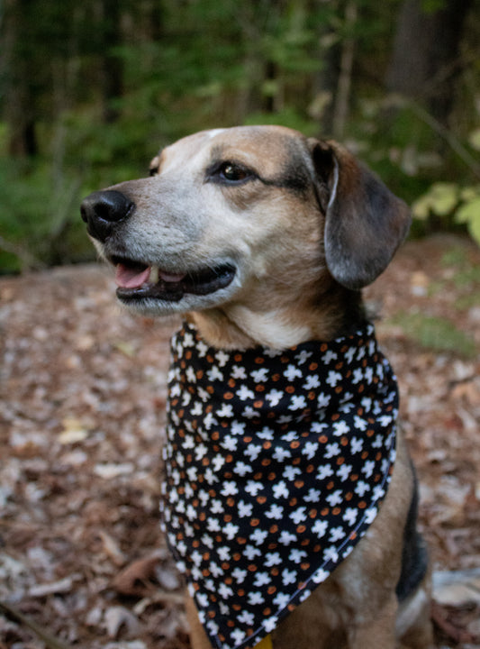 Plaid Ghosts Bandana