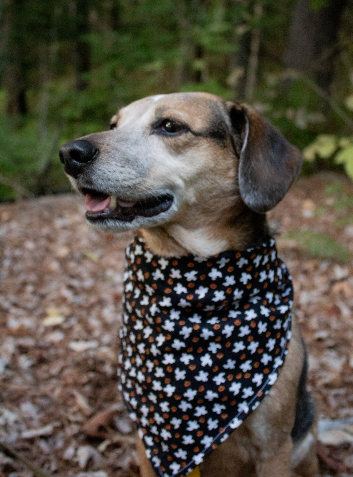 Plaid Ghosts Bandana