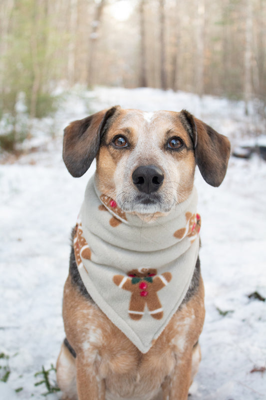 Cozy Cookies Bandana - ON SALE