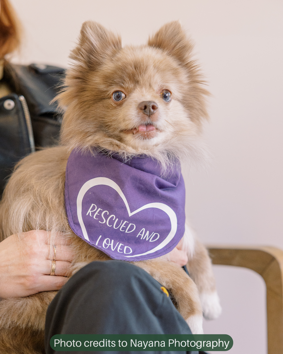 Valentine's Day Collection