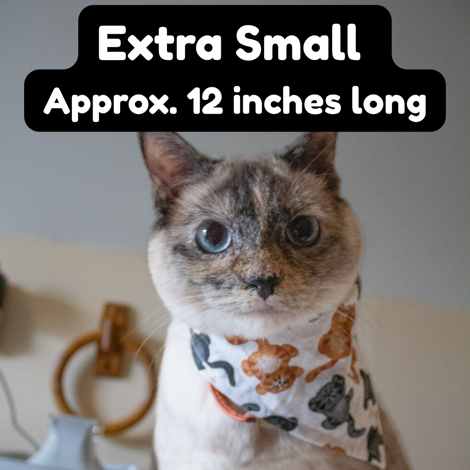 Extra Small