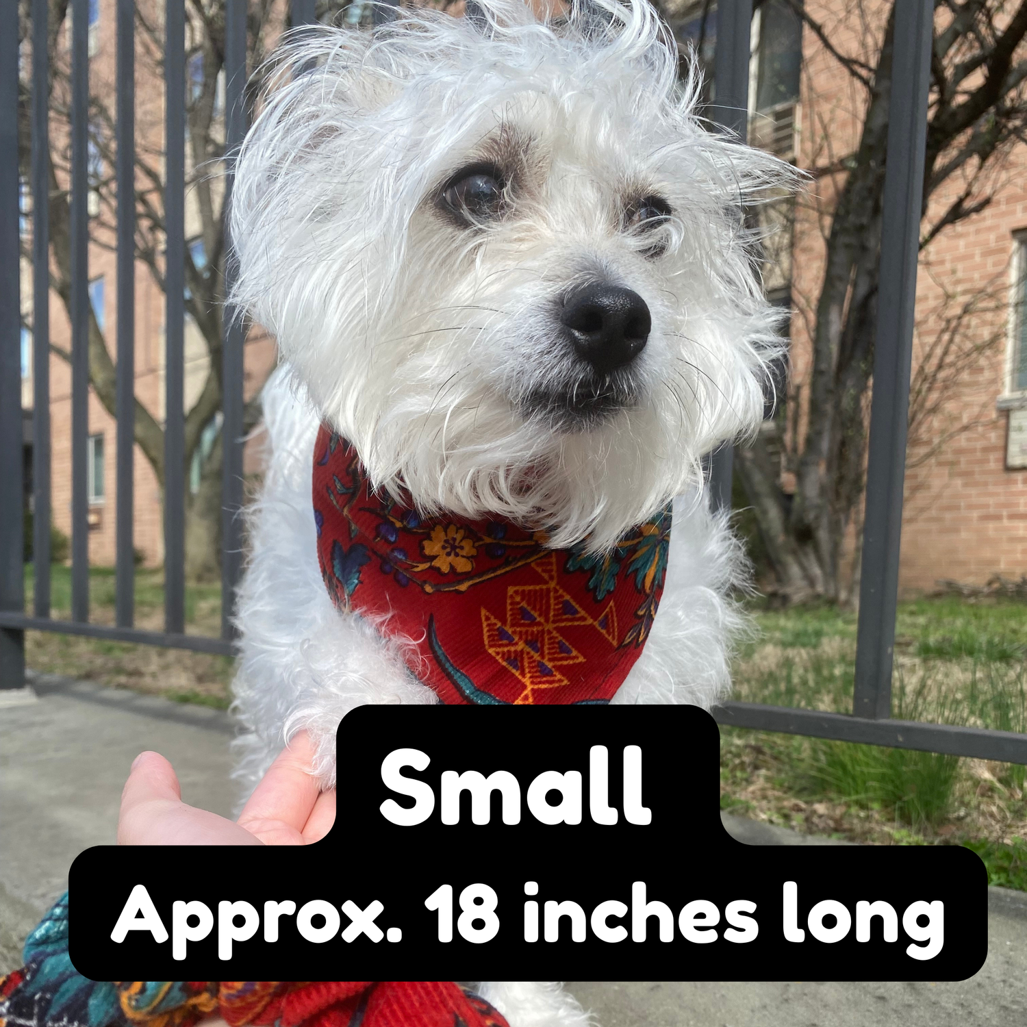 Small