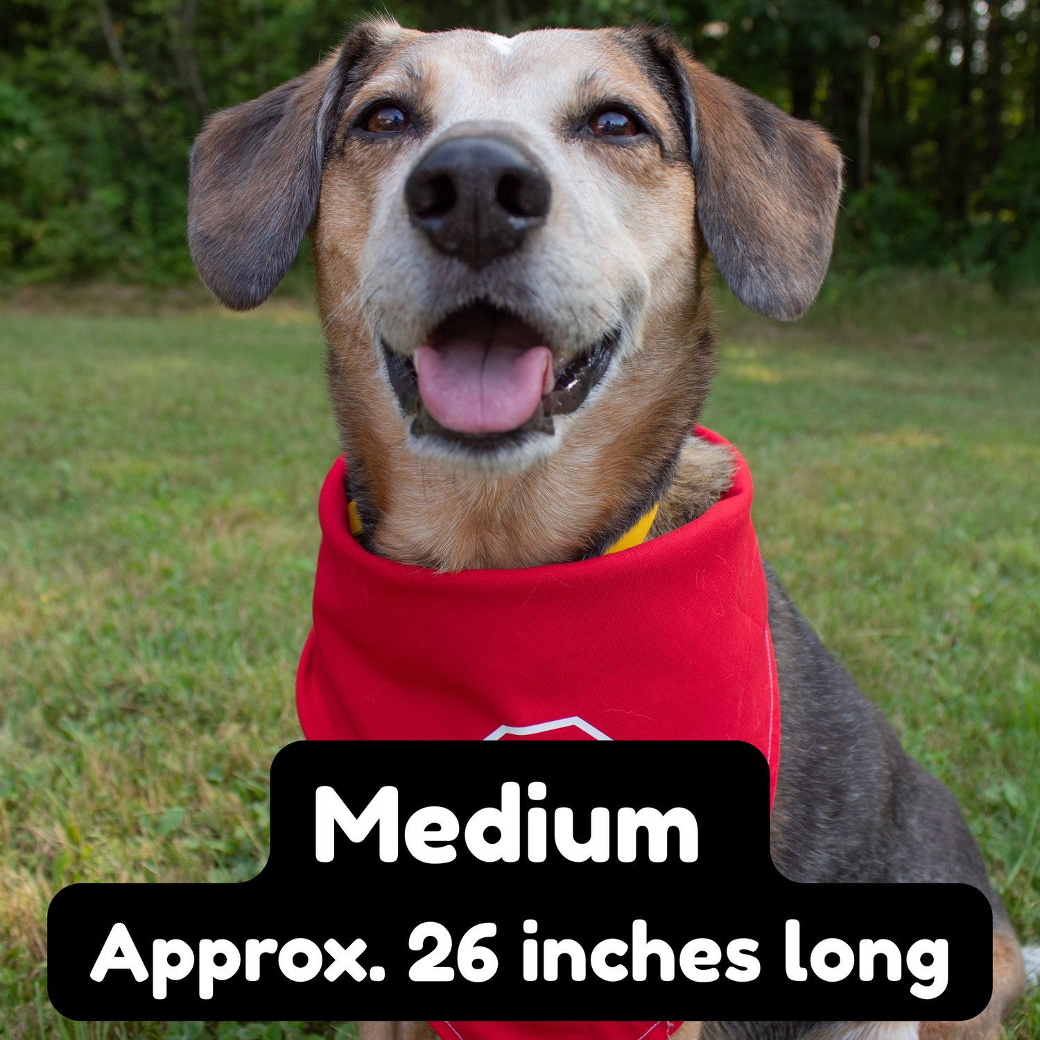 Medium