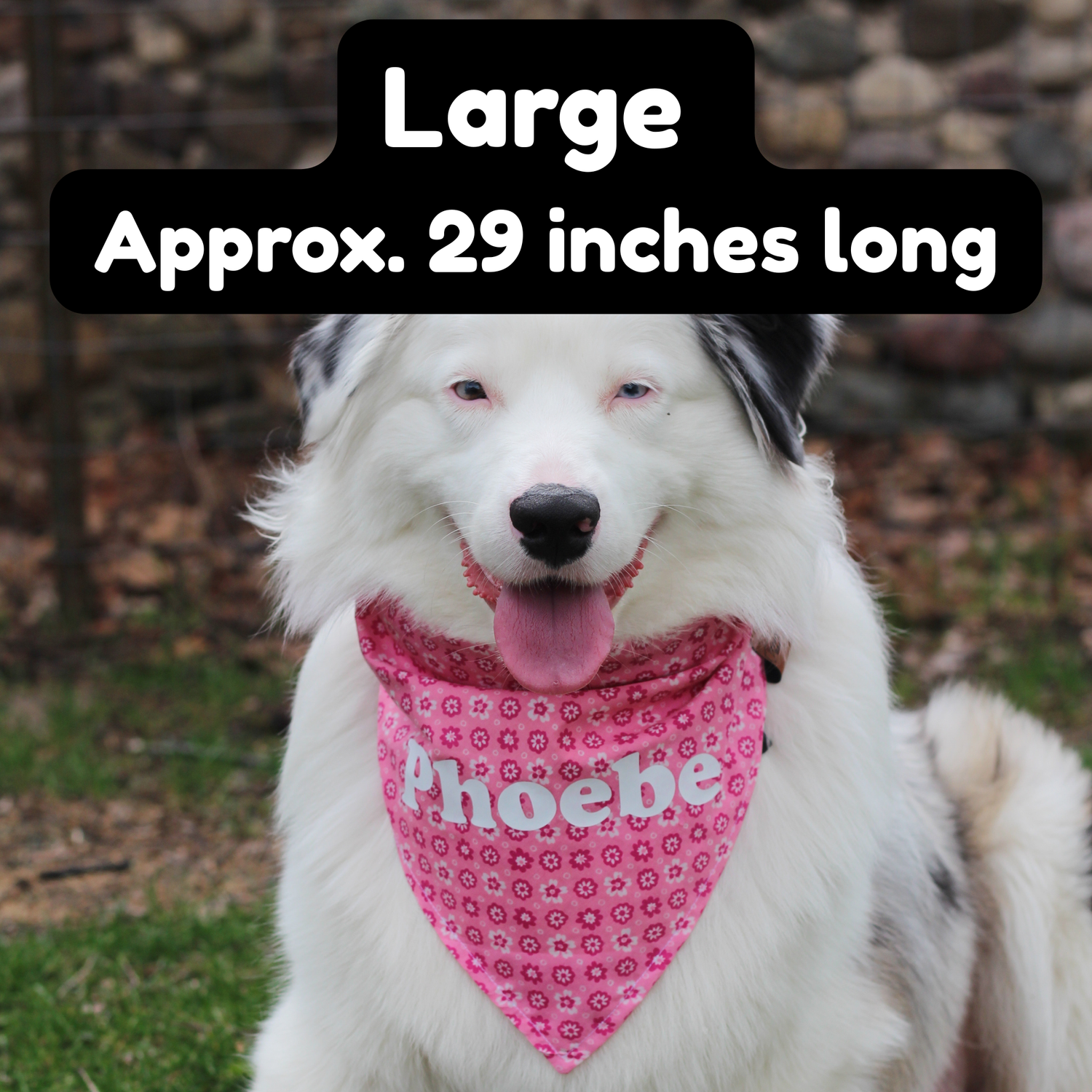 Large