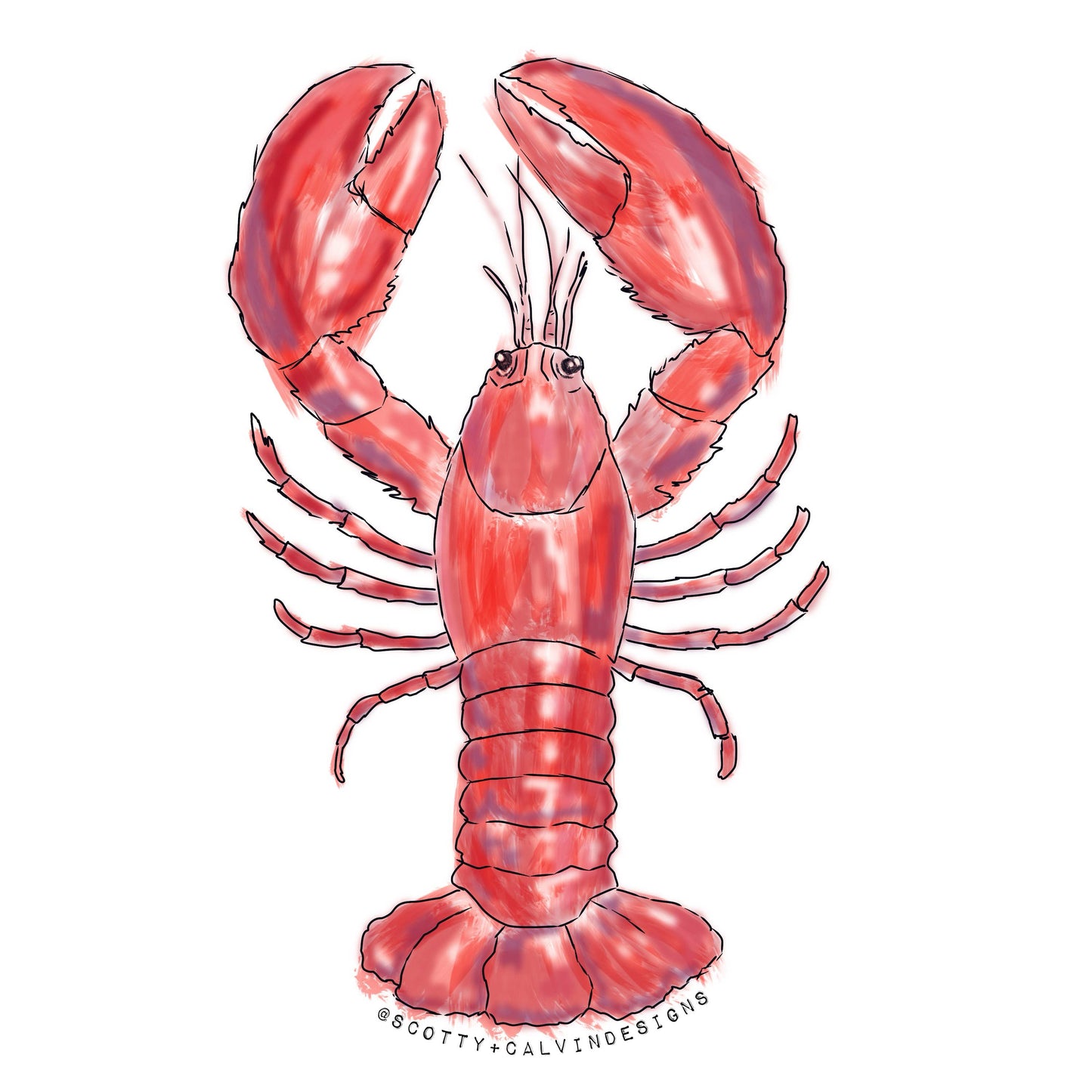 Lobster Weatherproof Sticker 
