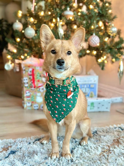 Forest Green Santa Hat Bandana