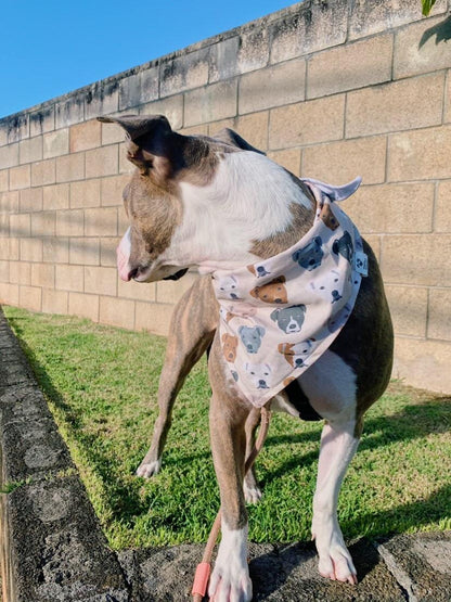 Show Me Your Pitties Bandana